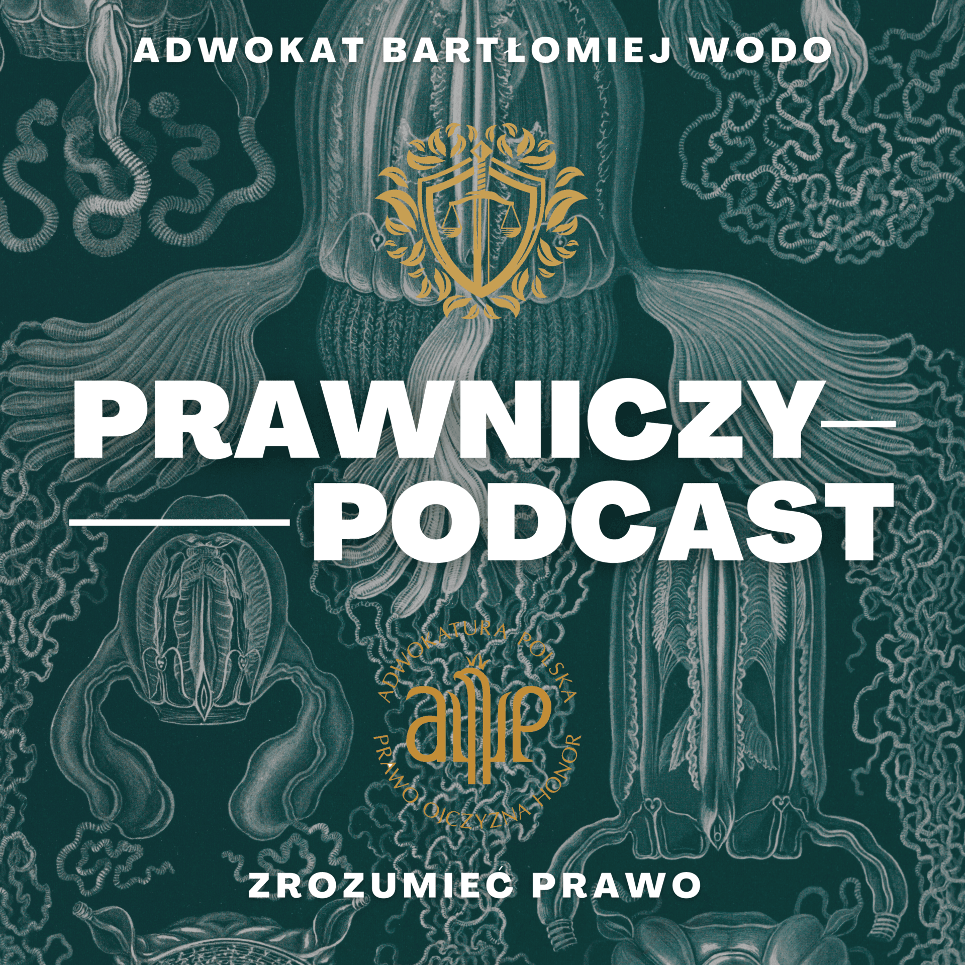 Prawniczy podcast - zrozumieć prawo